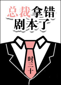 总裁我错了 小说