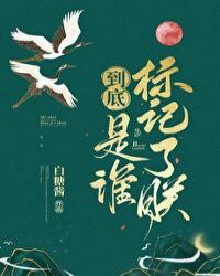 到底是谁标记了朕小说免费