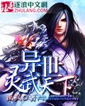 异界之魔武流氓