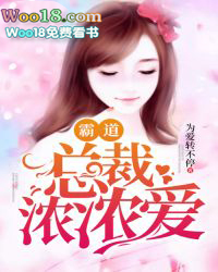 霸道总裁霸道爱 小说