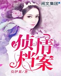 侦情档案一