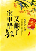 家里醋缸又翻了txt百度网盘