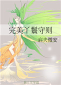 《完美丫鬟守则》