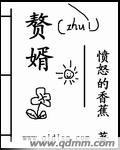 赘婿到女帝宠臣