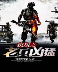 抗战之老兵凶猛TxT奇书网
