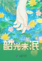 韶光美什么意思