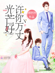 许你万丈光芒好小说
