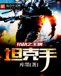 抗战之王牌空战