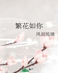 繁花似你小说免费阅读