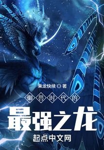 御兽是啥