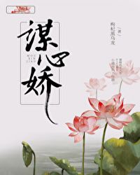 谋心娇小说全文免费阅读