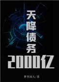 天降二百四十五万巨额债务