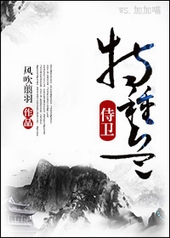 特种兵侍卫 小说
