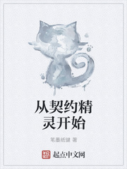 从契约精灵开始了
