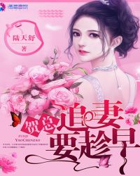 小说贺少的追妻守则