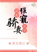 必有娇妻网盘下载
