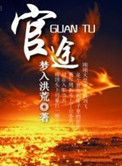 官途迷情