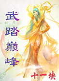武踏巅峰 狂想一号