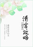 清宫攻略百度网盘