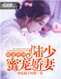 婚途漫漫:陆少蜜宠娇妻免费阅读