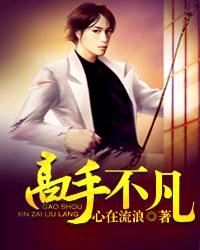 《高手不凡》