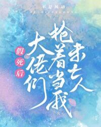 假死后大佬们抢着当我未亡人剧透