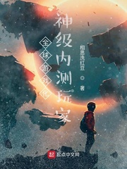 全球游戏化 神级内测玩家txt