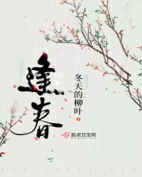 逢春讲的什么