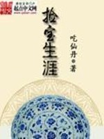 捡宝生涯 小说