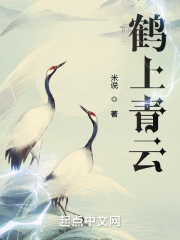 鹤上青云 米说