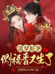 清穿好孕:侧福晋又生了元卿胤礽