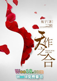 《天作之合》小说