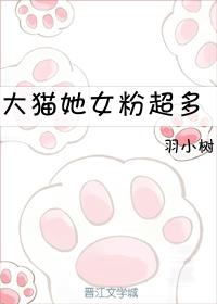 大猫个人资料