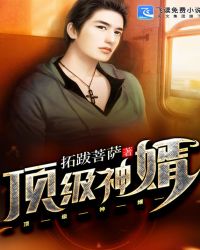 顶级神婿叶辰最新阅读