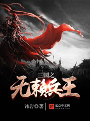 三国之无赖兵王小说