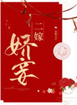 《二嫁娇妾》