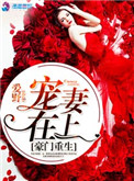 重生之豪门宠妻小说