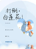 那种打脸白莲花的文推荐