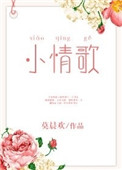 小情歌小说