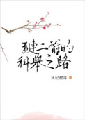 红楼之琏二爷 小说