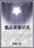他是璀璨星光小说免费阅读