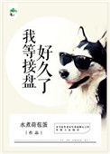 接盘了是什么意思