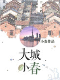 大城小春小麦s讲什么