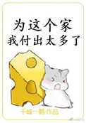 为这个家我付出太多了 百度云
