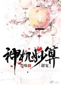 神机妙算(甜宠)小说