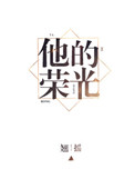 他的荣光小说TXT下载