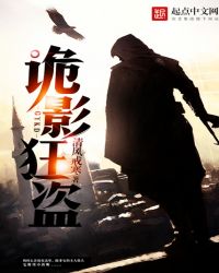 诡影谍踪评测