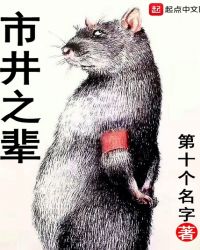 市井之辈好看吗