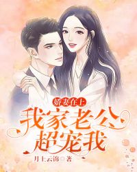娇妻难候老公已上线