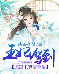 王妃驾到腹黑王爷请接招txt